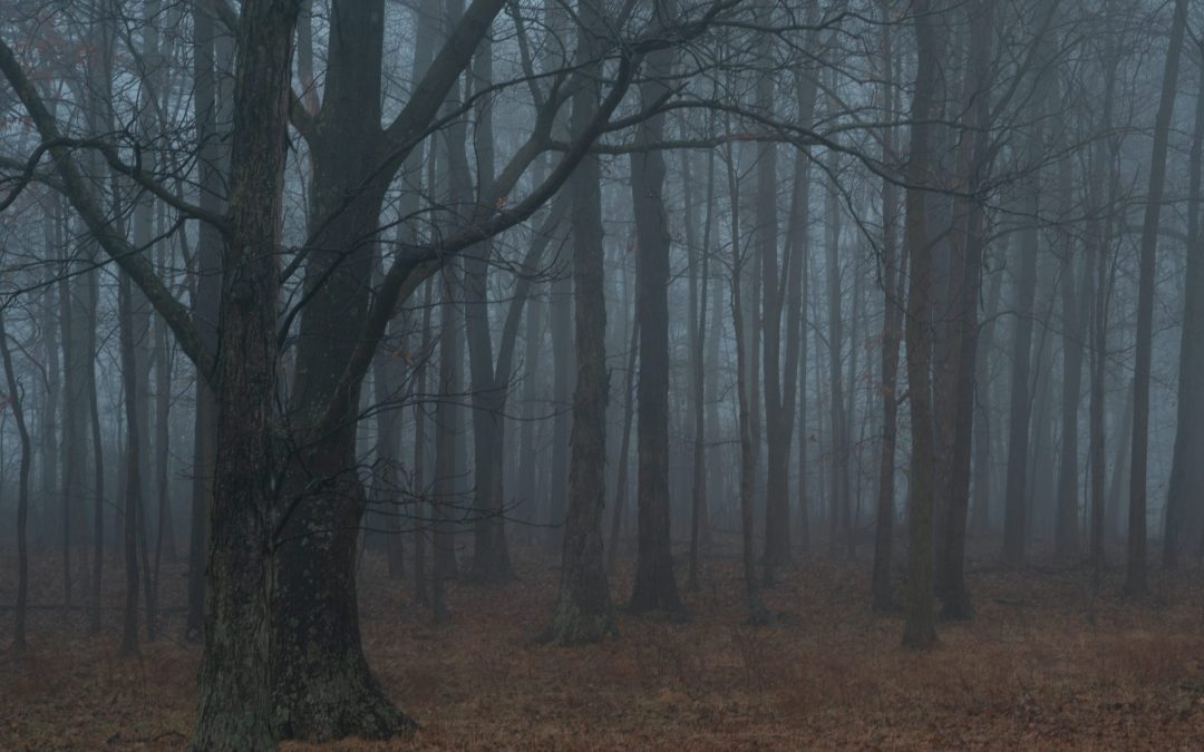 Shadow Work for Beginners: A Simple Guide to Healing