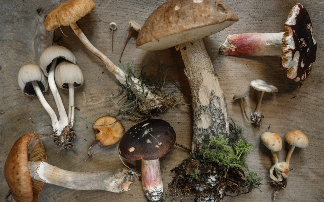 Microdosing Q&A | Benefits, How to, and Microdosing for Anxiety