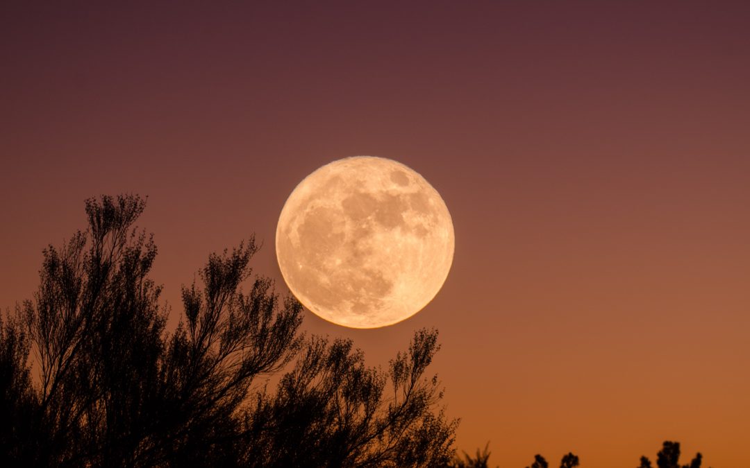 Dreaming of a Full Moon? Here’s the Spiritual Meaning Behind It