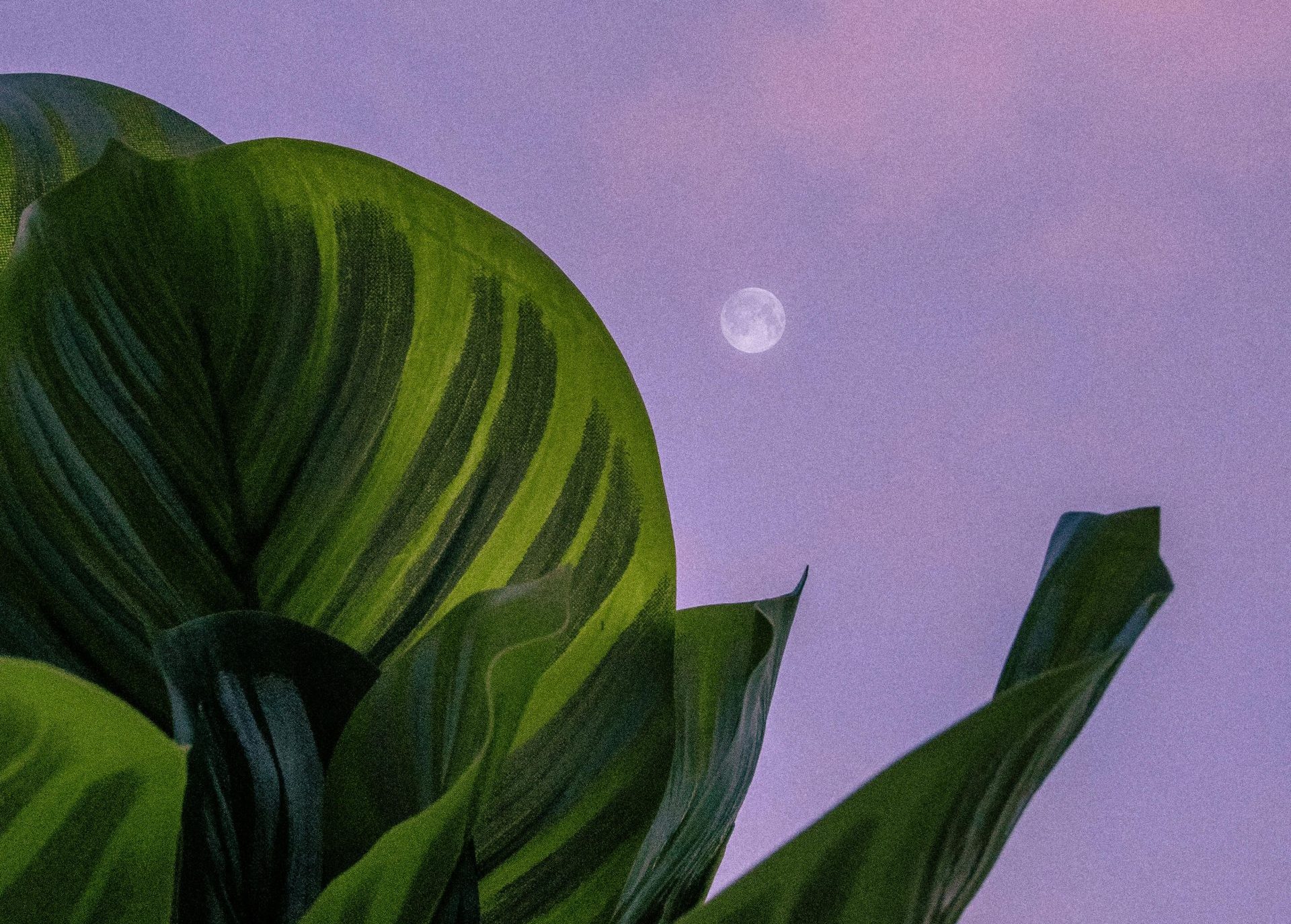 Full Moon in Libra Journal Prompts to Align Your Energy