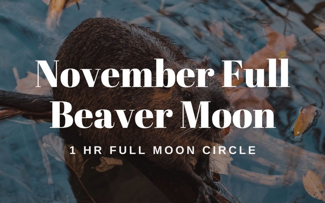 Full Beaver Moon in Gemini: Easy Rituals & How to Celebrate