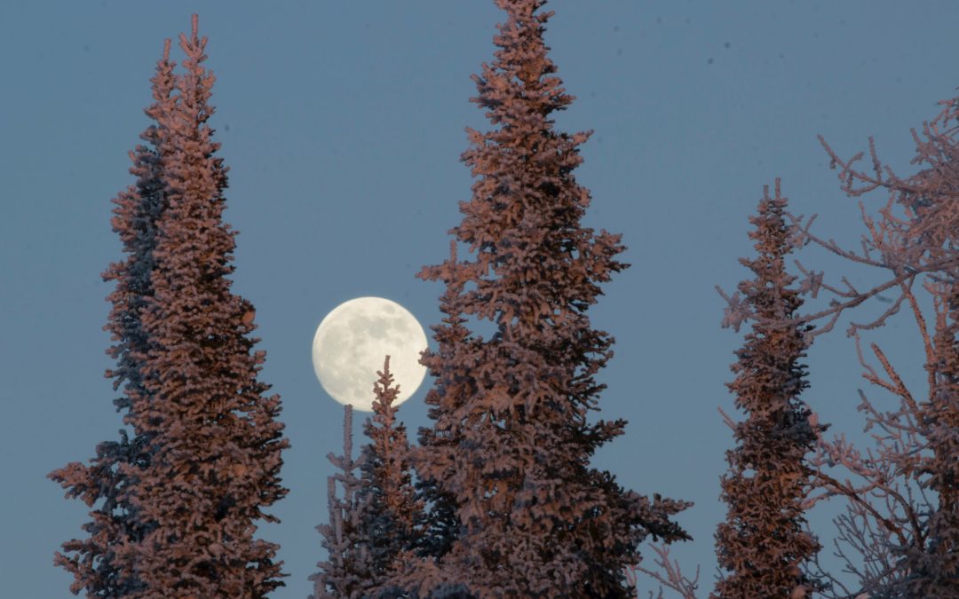 A Witch’s Guide to the Cold Moon: Meaning, Rituals & More