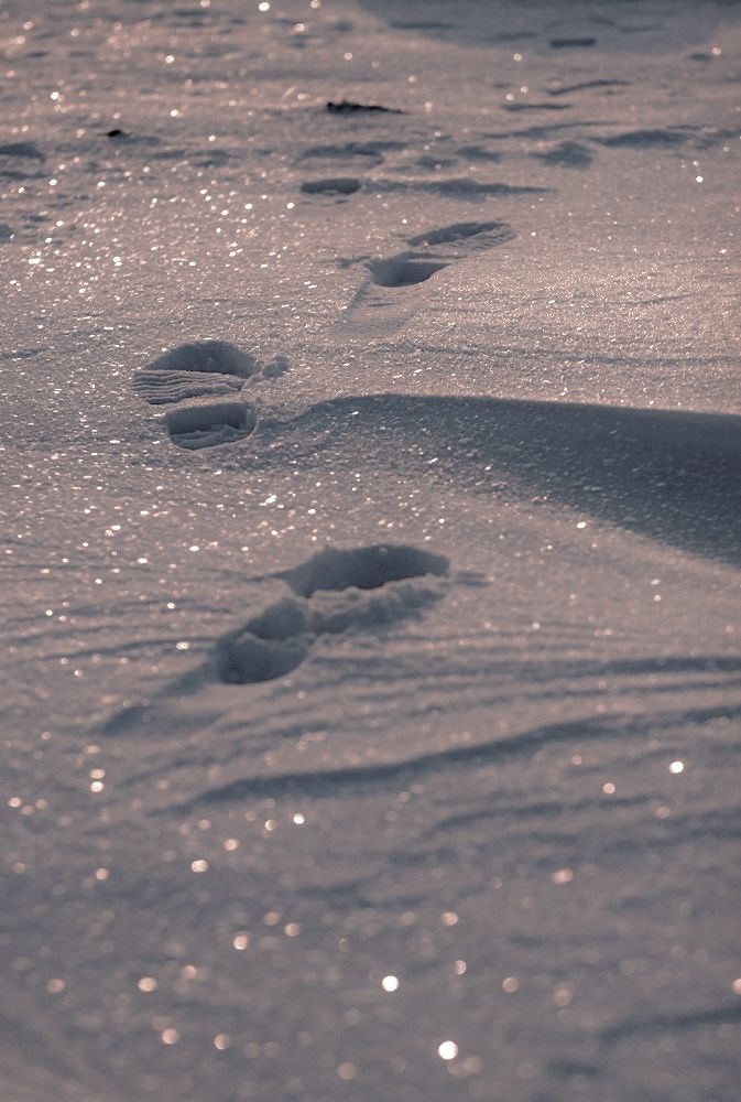 snow moon spiritual meaning