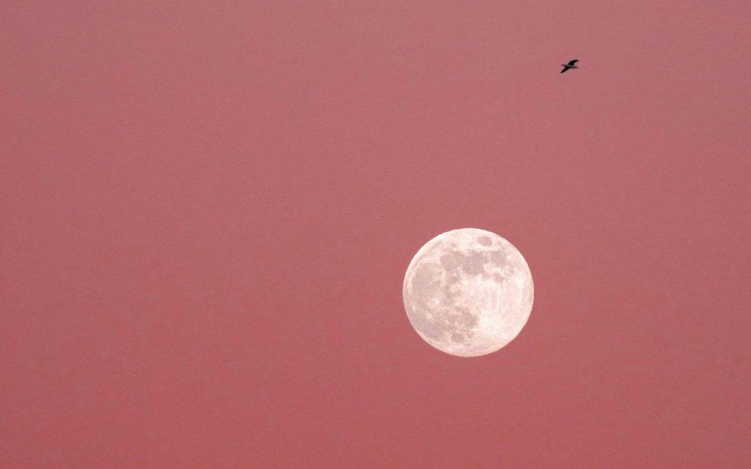 A Witch’s Guide to the Full Pink Moon: Spiritual Meaning & Rituals