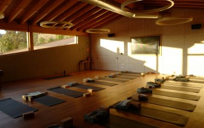 What to know before booking your first yoga retreat