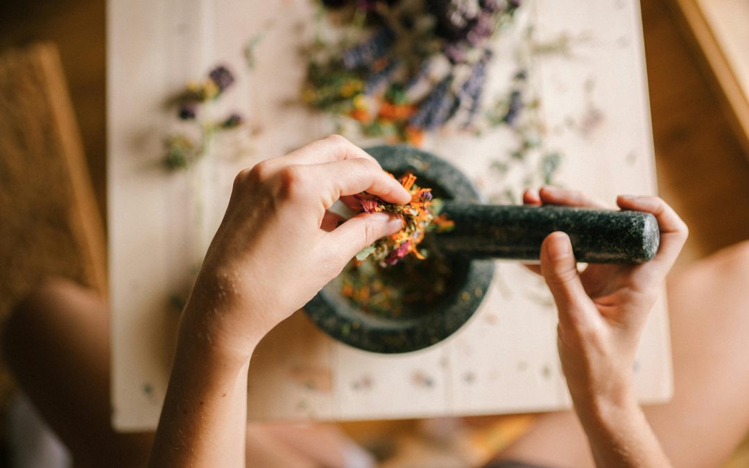 Eco-Friendly Pest Control Solutions for a Greener Home