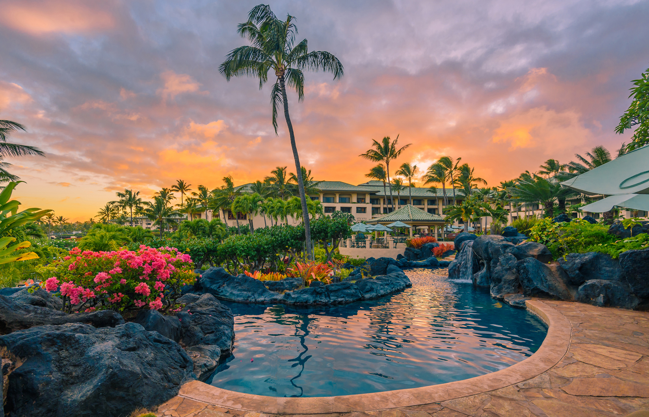 wellness retreat hawaii