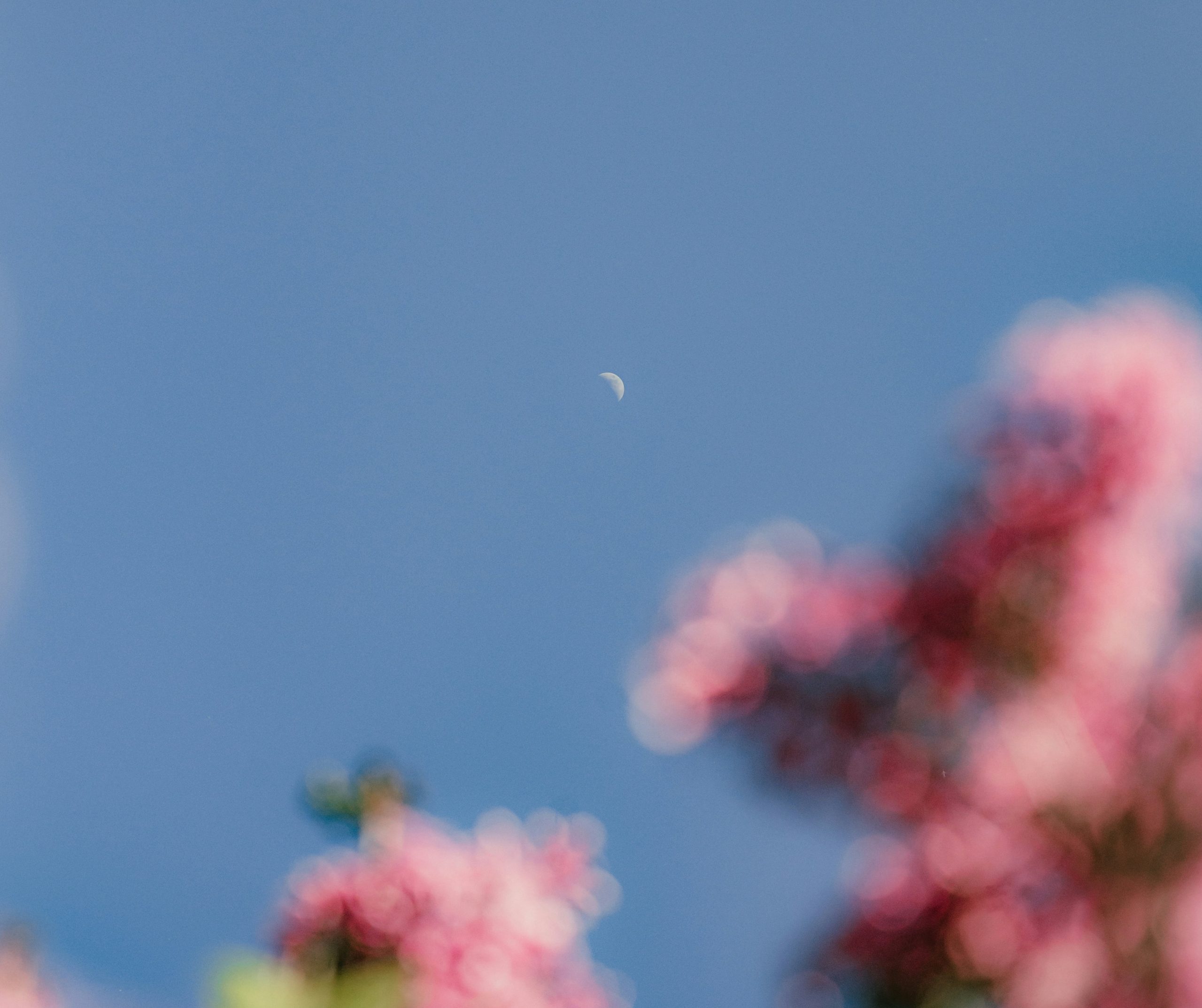 what is a strawberry moon